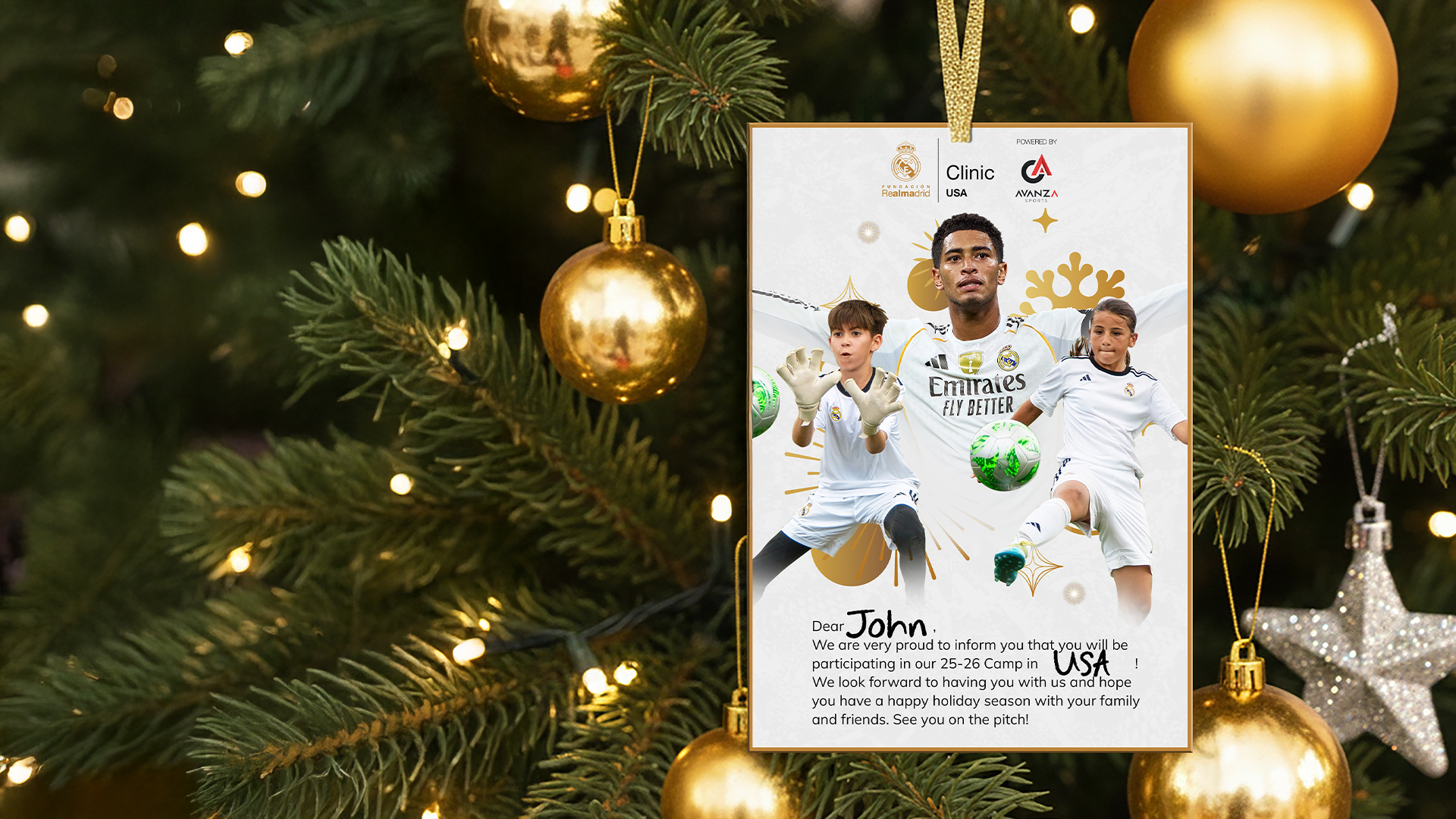 USA Navidad Offer Banner